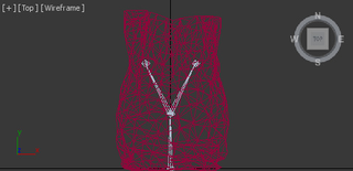 Image via Xentax, which shows that the inside of the paper bag is completely empty. It only LOOKS horrifying.